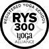 RYS 300 Logo